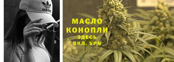 mix Ельня