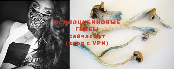 не бодяженный Елабуга