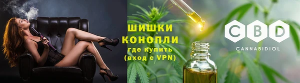 соль ск Дмитриев