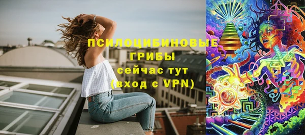 скорость Елизово